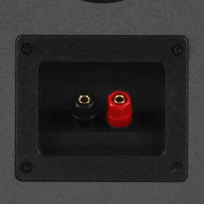 Klipsch R-41M