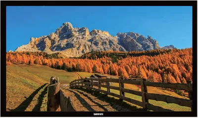 Snowhite Ecran de projection Fixe 4K Transonore 120" 16