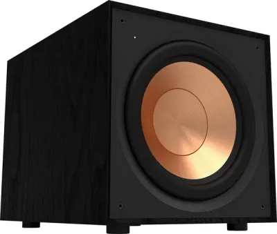 Caisson de basse Klipsch R-101SW Black (Pièce)