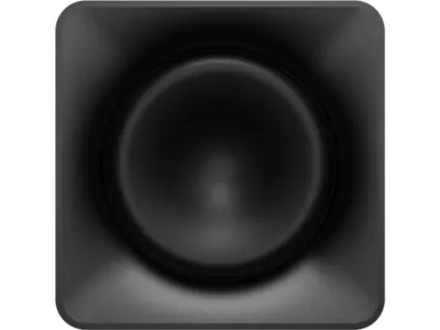 Klipsch Flexus 12" Sub EUA Black