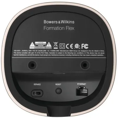 Enceinte sans fil Bowers & Wilkins Formation Flex Black (Unité)