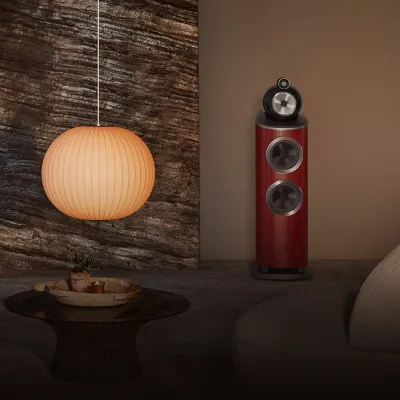 Enceinte colonne Bowers & Wilkins 803 D4 Satin Rosenut (Unité)