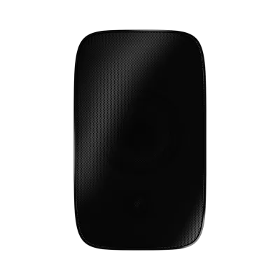 Enceinte extérieure Bowers & Wilkins AM-1 Black