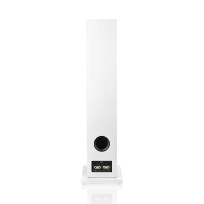 Enceinte colonne Bowers & Wilkins 603 S3 White détails tweeter et haut-parleur