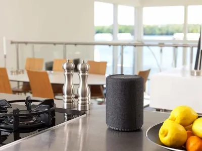 Enceinte Multiroom Audio Pro A10 Gris Foncé puissante