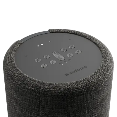 Enceinte Multiroom AUDIOPRO G10 Dark Grey