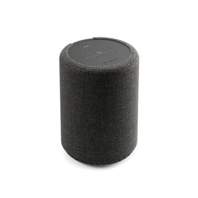 Enceinte Multiroom AUDIOPRO G10 Dark Grey