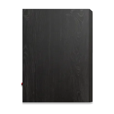 Enceinte Bibliothèque Klipsch RP-600M Paire Ebony