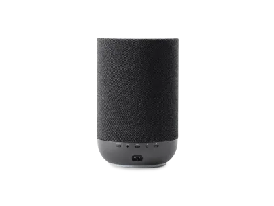 Denon Home 200