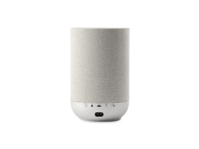 Denon Home 200