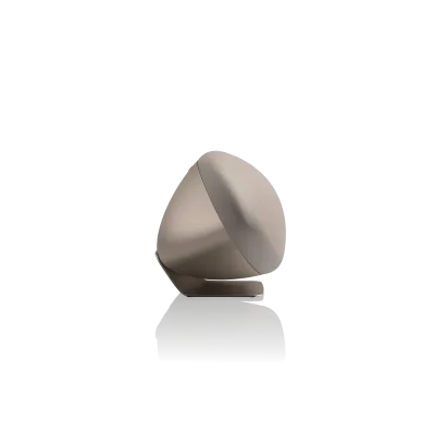 Bowers & Wilkins Zeppelin PRO Solar Gold (Unité)