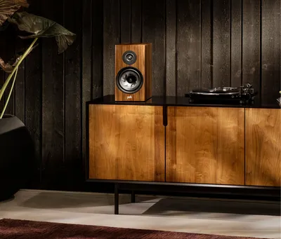 Polk Reserve R200 finition noyer brun, en situation