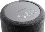 Enceinte Multiroom Audio Pro A10 Gris Foncé puissante