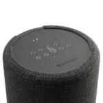 Enceinte Multiroom AUDIOPRO G10 Dark Grey