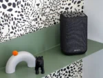 Denon Home 150