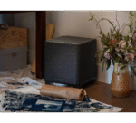 Denon Home Sub