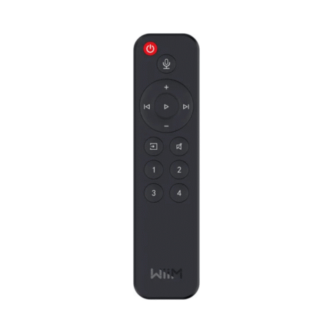 WiiM Remote Control Noir